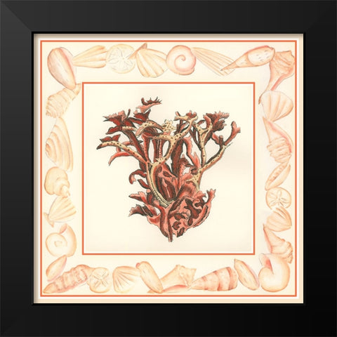 Coral with Shell Border III Black Modern Wood Framed Art Print by Vision Studio