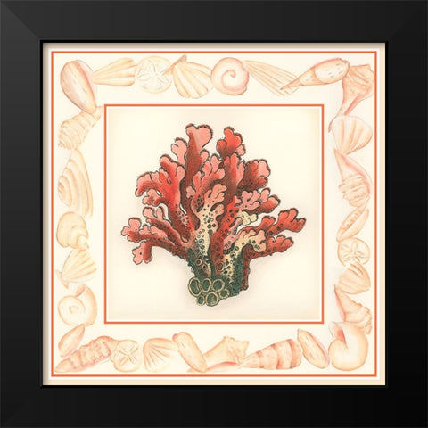 Coral with Shell Border IV Black Modern Wood Framed Art Print by Vision Studio
