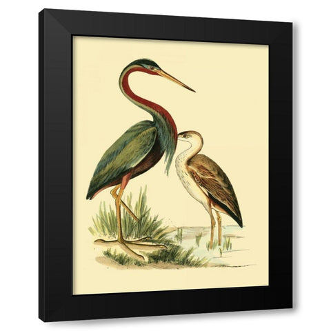 Water Birds III Black Modern Wood Framed Art Print by Vision Studio