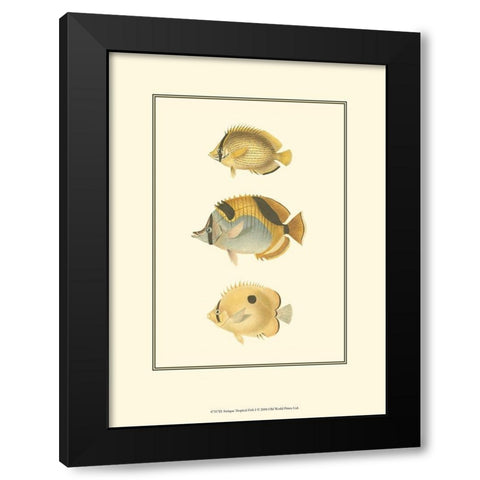 Antique Tropical Fish I Black Modern Wood Framed Art Print by Vision Studio