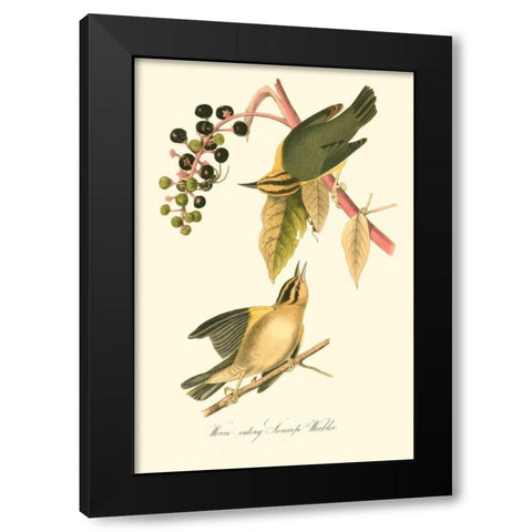 Audubons Warbler Black Modern Wood Framed Art Print by Audubon, John James