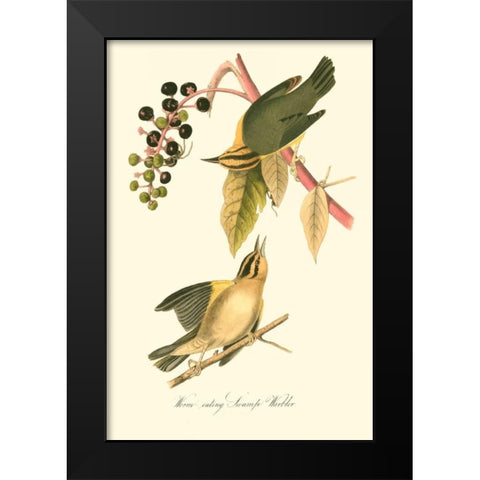 Audubons Warbler Black Modern Wood Framed Art Print by Audubon, John James