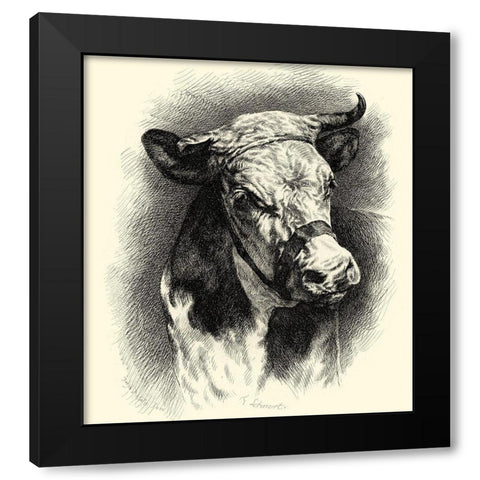 Antique Cattle I Black Modern Wood Framed Art Print with Double Matting by Lehnert, F.