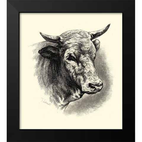 Antique Cattle II Black Modern Wood Framed Art Print by Lehnert, F.