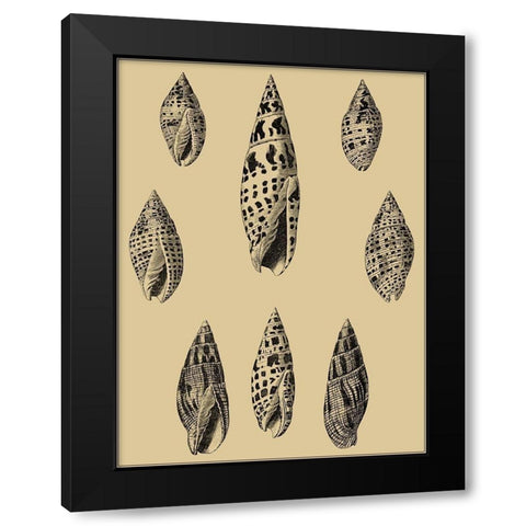 Shells on Khaki IV Black Modern Wood Framed Art Print with Double Matting by Diderot, Denis