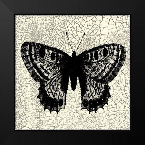 Classical Butterfly II Black Modern Wood Framed Art Print by Vision Studio