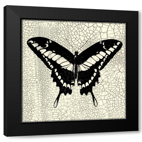 Classical Butterfly IV Black Modern Wood Framed Art Print with Double Matting by Vision Studio