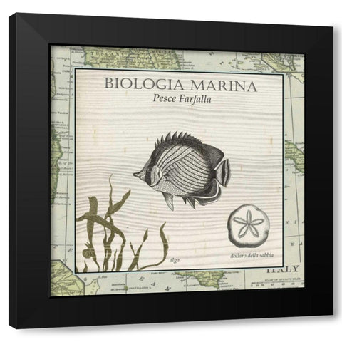 Biologia Marina I Black Modern Wood Framed Art Print by Vision Studio