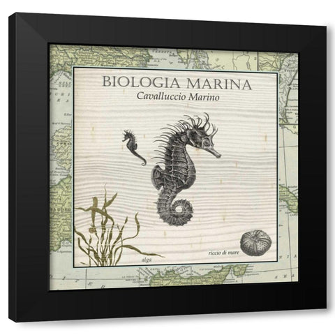 Biologia Marina III Black Modern Wood Framed Art Print by Vision Studio