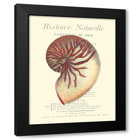 Coquilles De Mer I Black Modern Wood Framed Art Print by Vision Studio