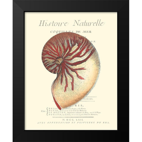 Coquilles De Mer I Black Modern Wood Framed Art Print by Vision Studio