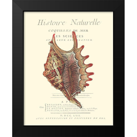 Coquilles De Mer III Black Modern Wood Framed Art Print by Vision Studio