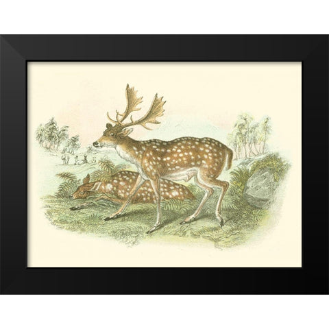 Petite Fallow Deer Black Modern Wood Framed Art Print by Lizars, W.H.