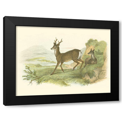 Petite Row Deer Black Modern Wood Framed Art Print with Double Matting by Lizars, W.H.