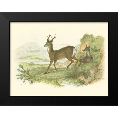 Petite Row Deer Black Modern Wood Framed Art Print by Lizars, W.H.