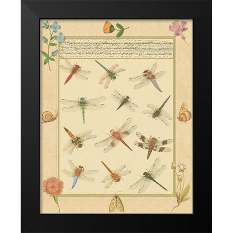 Custom Dragonfly Manuscript I (HI) Black Modern Wood Framed Art Print by Prasad, Jaggu