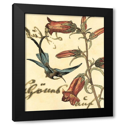 Small Hummingbird Reverie I  Black Modern Wood Framed Art Print by Vision Studio