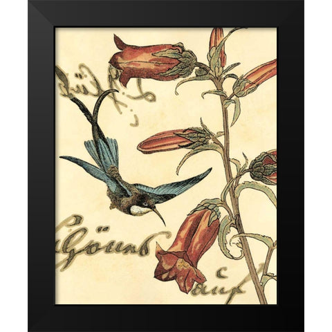 Small Hummingbird Reverie I  Black Modern Wood Framed Art Print by Vision Studio