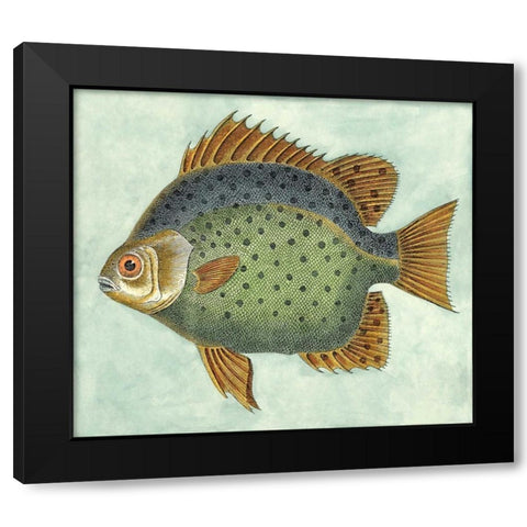 Small Butterfly Fish II Black Modern Wood Framed Art Print with Double Matting by Vision Studio