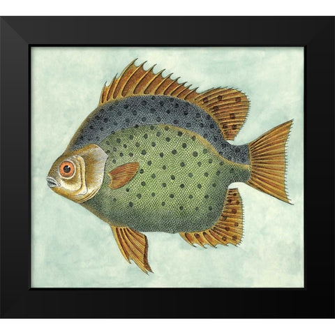 Small Butterfly Fish II Black Modern Wood Framed Art Print by Vision Studio