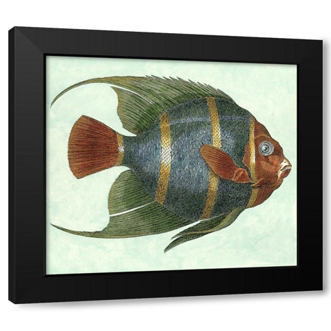 Small Angel Fish I Black Modern Wood Framed Art Print by Vision Studio