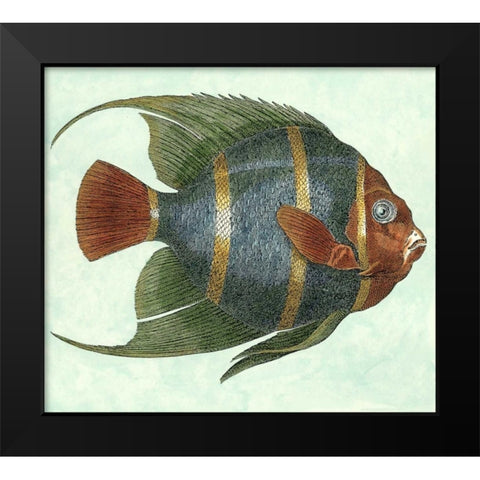 Small Angel Fish I Black Modern Wood Framed Art Print by Vision Studio