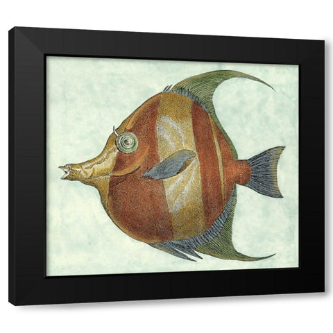 Small Angel Fish II Black Modern Wood Framed Art Print by Vision Studio