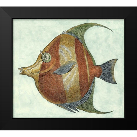 Small Angel Fish II Black Modern Wood Framed Art Print by Vision Studio