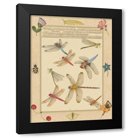 Small Dragonfly Manuscript IV (U) Black Modern Wood Framed Art Print with Double Matting by Prasad, Jaggu