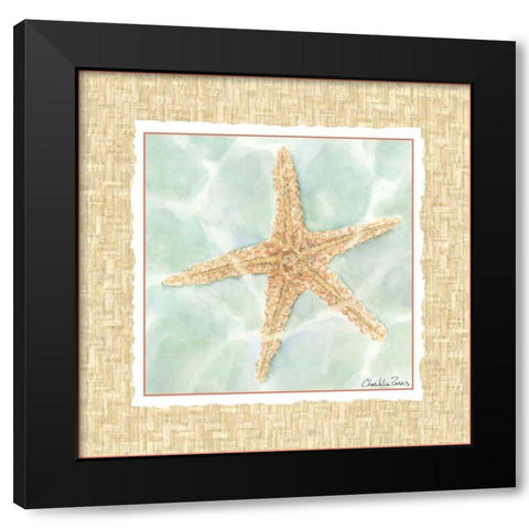 Ocean Starfish  Black Modern Wood Framed Art Print with Double Matting by Zarris, Chariklia