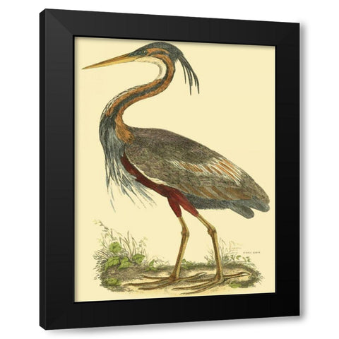 Small Purple Heron Black Modern Wood Framed Art Print by Selby, John