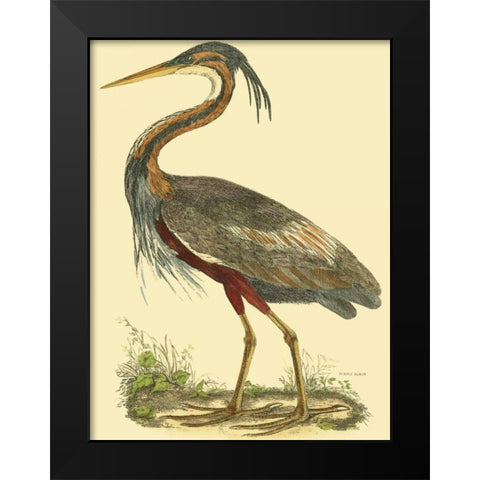 Small Purple Heron Black Modern Wood Framed Art Print by Selby, John