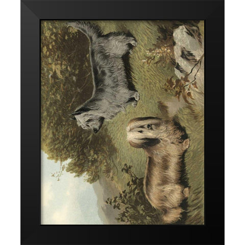 Terriers Black Modern Wood Framed Art Print by Shaw, Vero
