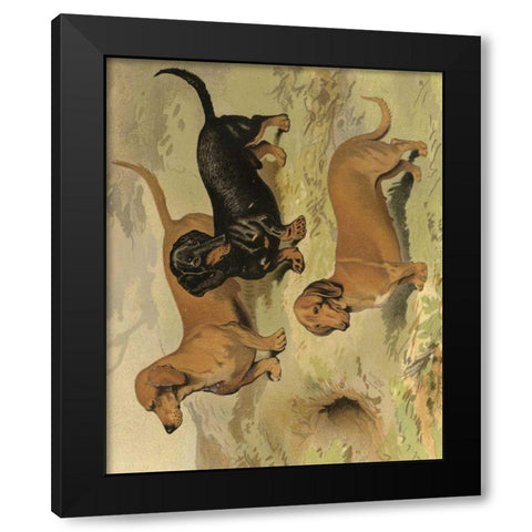 Dachshunds Black Modern Wood Framed Art Print with Double Matting by Shaw, Vero