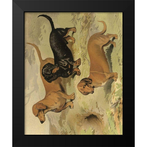 Dachshunds Black Modern Wood Framed Art Print by Shaw, Vero