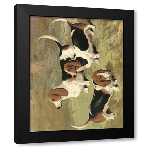 Basset Hounds Black Modern Wood Framed Art Print with Double Matting by Shaw, Vero