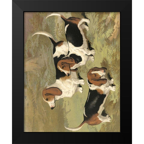 Basset Hounds Black Modern Wood Framed Art Print by Shaw, Vero