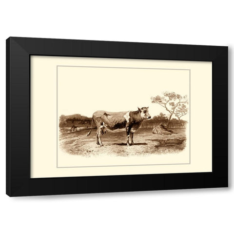 Custom Bovine I (RM) Black Modern Wood Framed Art Print with Double Matting by Van Marck, Emile