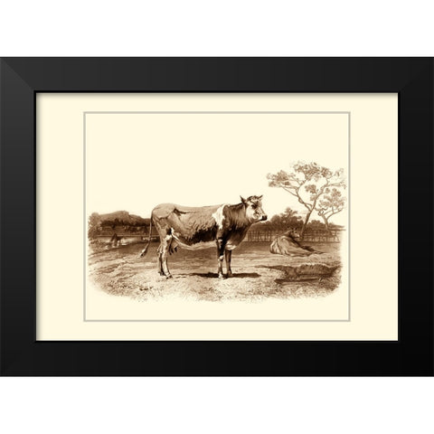 Custom Bovine I (RM) Black Modern Wood Framed Art Print by Van Marck, Emile