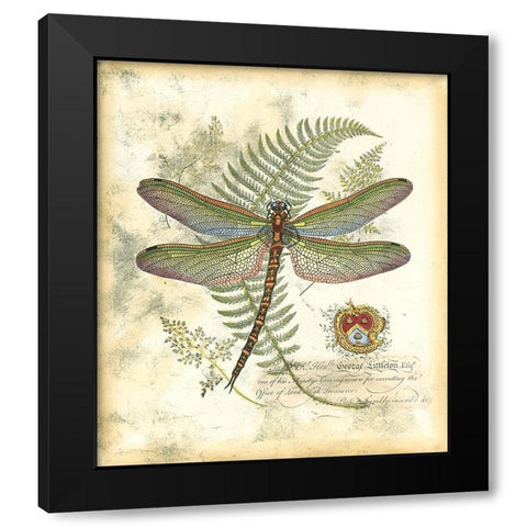 Mini Regal Dragonfly I Black Modern Wood Framed Art Print with Double Matting by Vision Studio