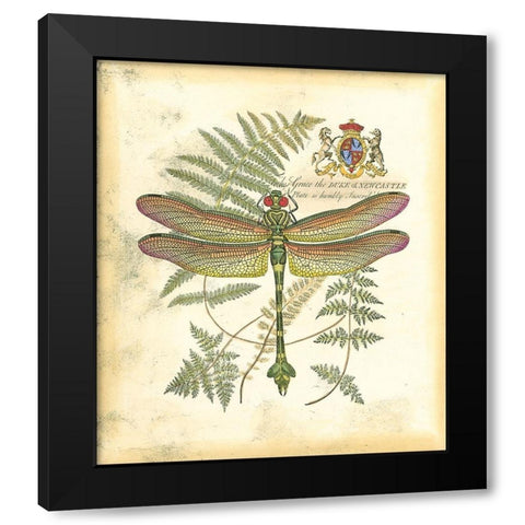 Mini Regal Dragonfly III Black Modern Wood Framed Art Print with Double Matting by Vision Studio