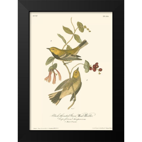Black-throated Green Wood Warbler Black Modern Wood Framed Art Print by Audubon, John James