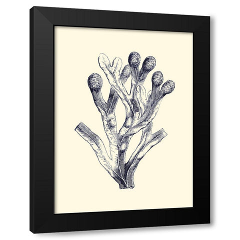 Indigo Kelp II Black Modern Wood Framed Art Print with Double Matting by Vision Studio