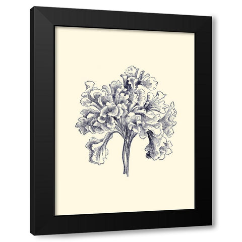 Indigo Kelp III Black Modern Wood Framed Art Print with Double Matting by Vision Studio