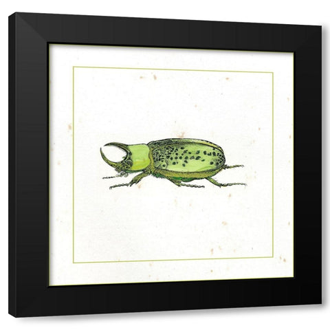 Green Beetle Black Modern Wood Framed Art Print with Double Matting by Vision Studio