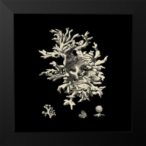 Small Black And Tan Coral III (P) Black Modern Wood Framed Art Print by Vision Studio