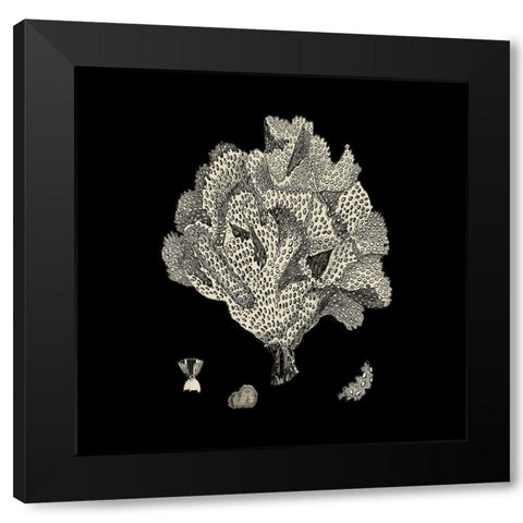 Small Black And Tan Coral IV (P) Black Modern Wood Framed Art Print with Double Matting by Vision Studio
