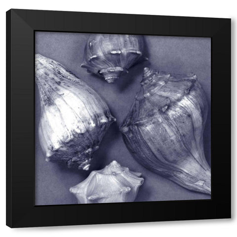 Shell Convergence III Black Modern Wood Framed Art Print with Double Matting by Stramel, Renee W.