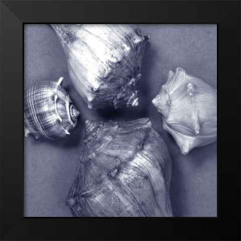 Shell Convergence IV Black Modern Wood Framed Art Print by Stramel, Renee W.