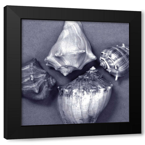 Shell Convergence V Black Modern Wood Framed Art Print with Double Matting by Stramel, Renee W.